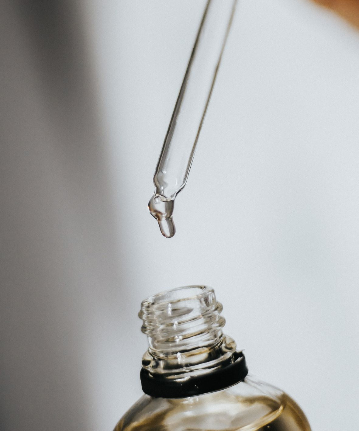 Lemongrass ginger fragrance oil 10ml/0.34oz