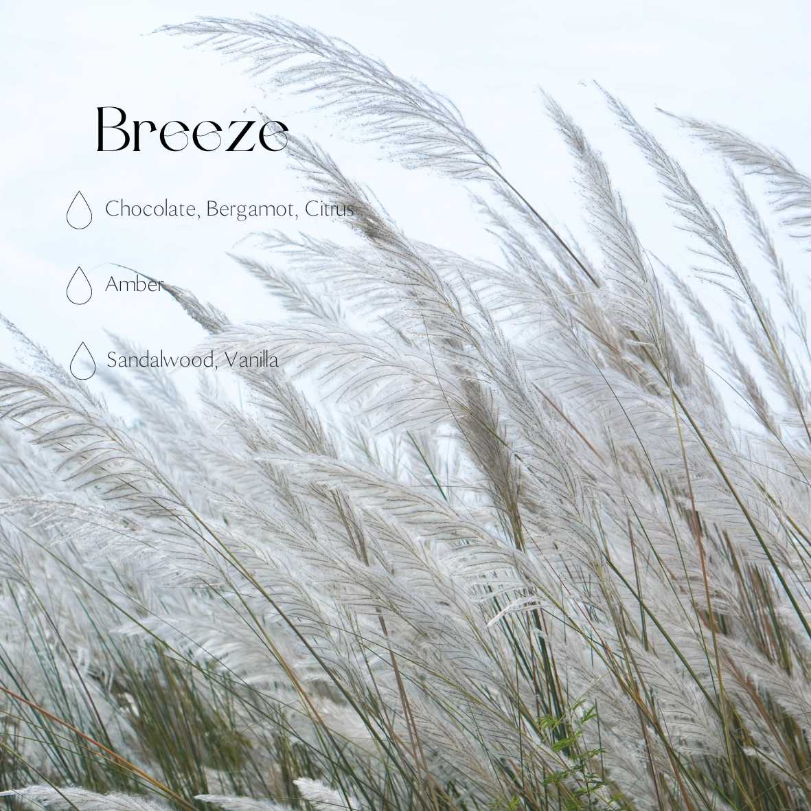 Breeze refill 250ml/8.45oz
