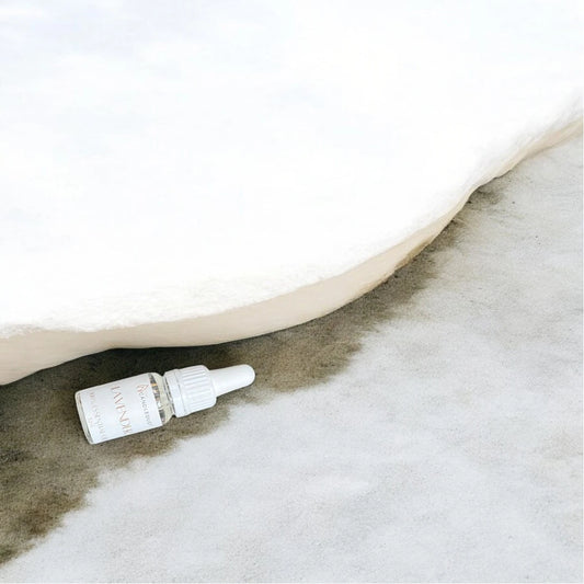 Dark Honey fragrance oil 10ml/0.34oz