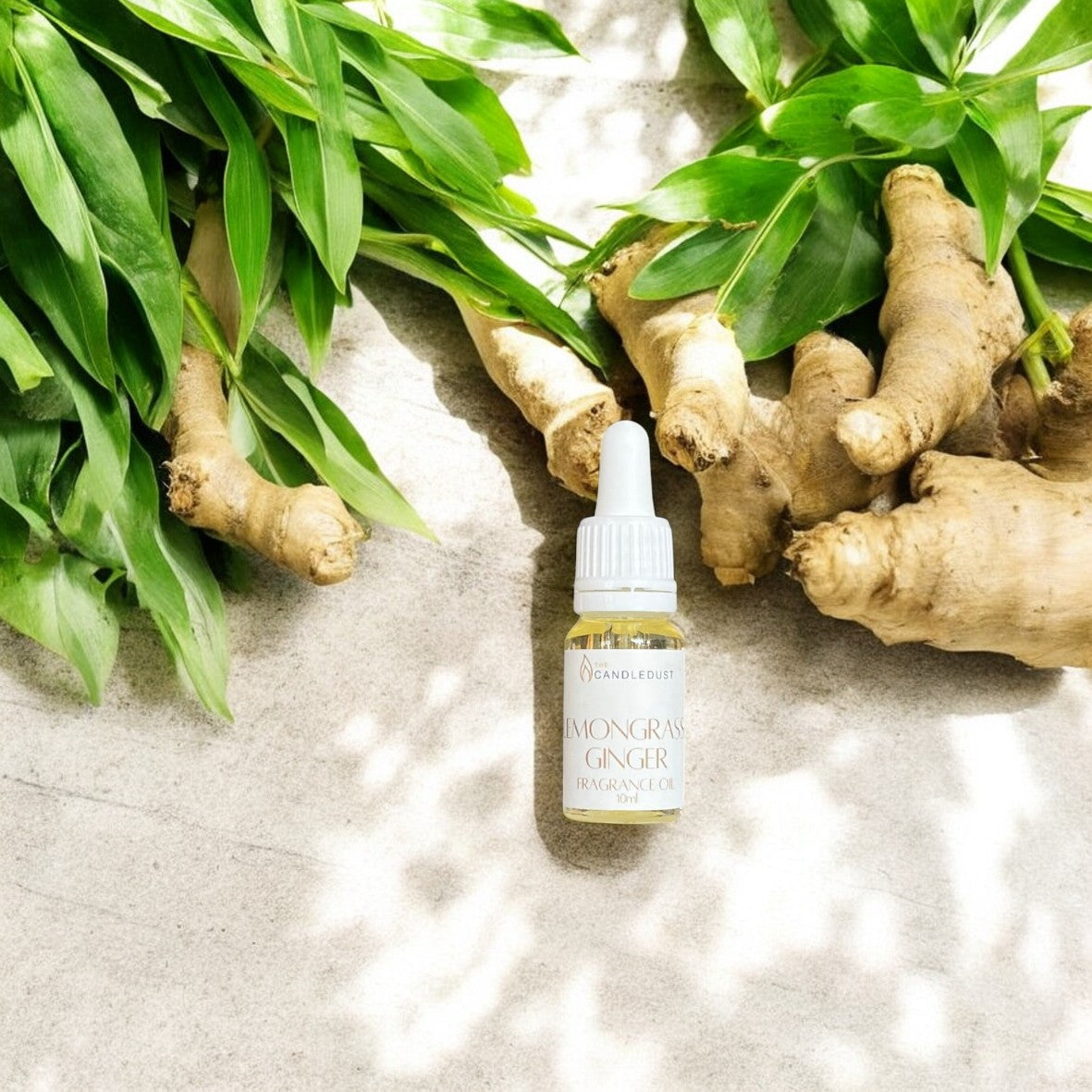 Lemongrass ginger fragrance oil 10ml/0.34oz